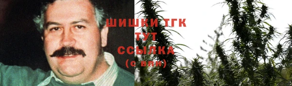 альфа пвп Медвежьегорск