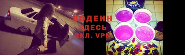 альфа пвп Медвежьегорск
