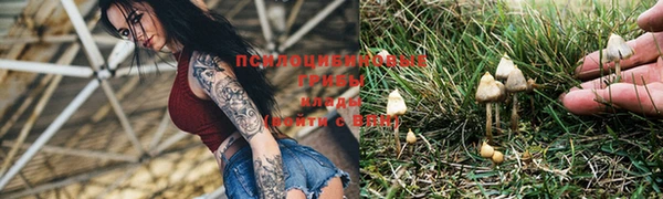 2c-b Мегион