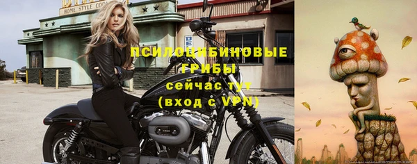 2c-b Мегион