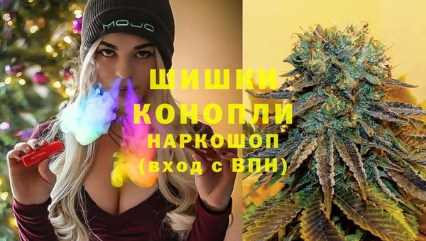 альфа пвп Медвежьегорск