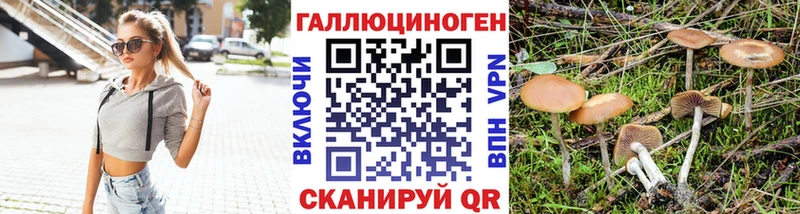 Галлюциногенные грибы Cubensis  даркнет сайт  Шлиссельбург 
